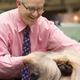 Illustration for article titled National Dog Show Final Contenders, 2013